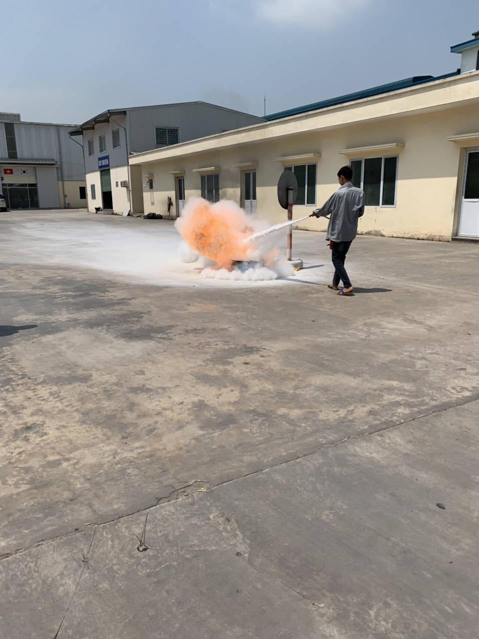 4df12597d57831266869